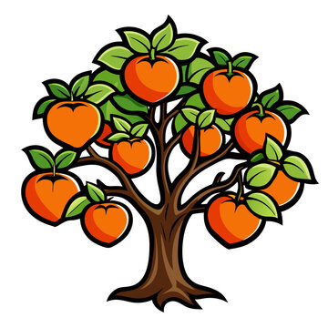  Elegant Texas Persimmon Tree Design with Bold Outlines