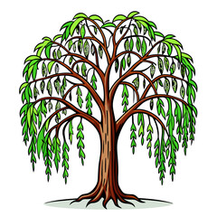  Artistic Weeping Birch Tree Design