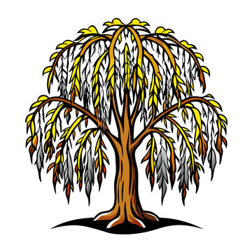 willow tree brown yellow leaves clip art preview