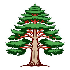  Stunning Outline of White Cedar Tree