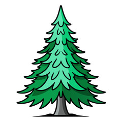  Bold Illustration of White Spruce Tree