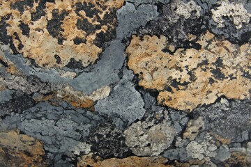 Abstract Stone Texture: An abstract close-up of a weathered stone surface, showcasing a captivating pattern of  black, grey and golden tones creating an intriguing textural background. 