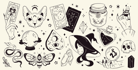 Mystical set of stickers. Hand-drawn magic and witchcraft elements. Skull,tarot cards, hand, witch, potion, cat, fortune ball. Halloween set. © Maria