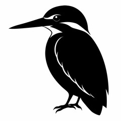 Sleek Kingfisher Shadow Illustration