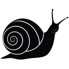 snail vector