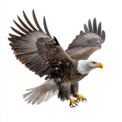 Obraz premium Happy Siberian Husky Puppy Portrait Against White Background