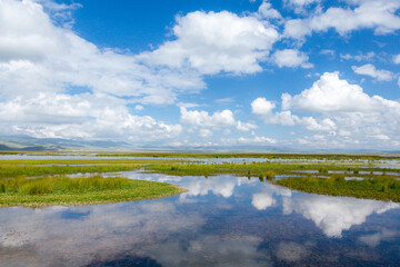 summer landscape with lake and blue sky
