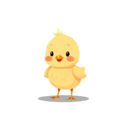 Adorable Little Baby Chick 