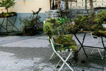 Moss Covered Chairs in Garden Courtyard