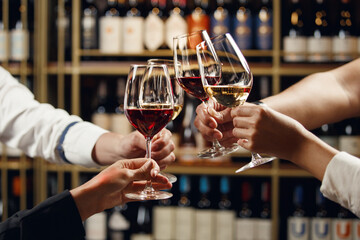 Big company people clinking glasses with red, rose and white wine on blurred cellar background. Men and women cheers with alcohol drink, closeup