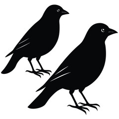 weaver birds vector sihouette