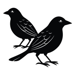 Obraz premium weaver birds vector sihouette