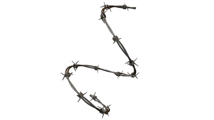Fototapeta premium tree roots isolated on white