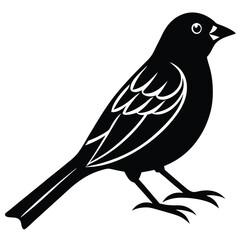 Obraz premium weaver birds vector sihouette