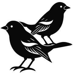 weaver birds vector sihouette