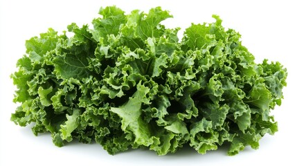 Fresh kale leaves. Lush green leaves tightly clustered together