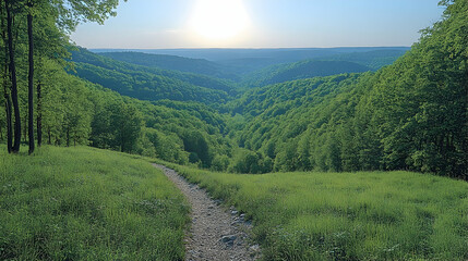 Obraz premium Serene path meanders through lush greenery leading to a valley filled with dense forest under a bright sunny sky