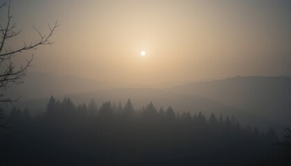 Fototapeta premium Golden sunrise over misty forested landscape nature photography tranquil environment serene viewpoint peaceful concept for relaxation and inspiration