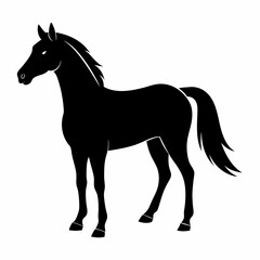 Elegant Horse Silhouette Design