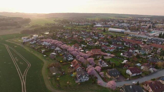 Aerial view of the city of Svitavy at sunset. Awakening of spring and pink blooming trees. Urban greenery from a drone