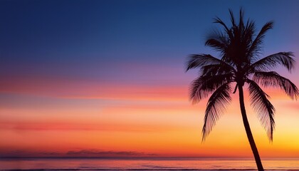 Palm tree against the sunset sky Tropical evening landscape Gradient color Horizontal banner