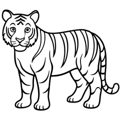Fierce Tiger Outline Design