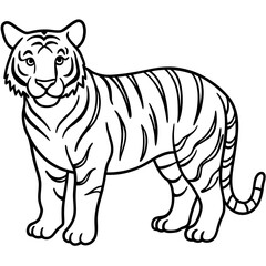 Fierce Tiger Outline Design