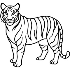 Fierce Tiger Outline Design