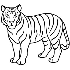 Fierce Tiger Outline Design