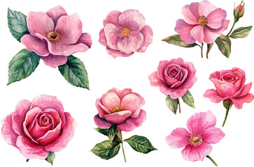 seamless pattern with pink roses