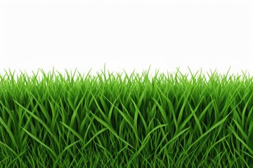 Obraz premium a close up of a green grass field with a white background