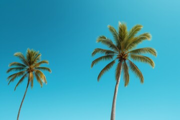 there are two palm trees that are standing in the sand