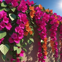 Bougainvillea, Eye-catching in bright shades like purple, pink, and white, Drought-tolerant and loves hot sunny days
