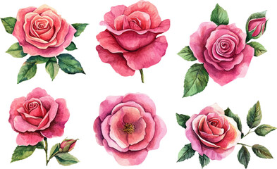 seamless pattern with roses