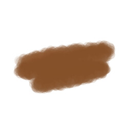 chocolate cake isolated on white