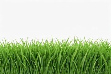 Obraz premium a close up of a green grass field with a white background