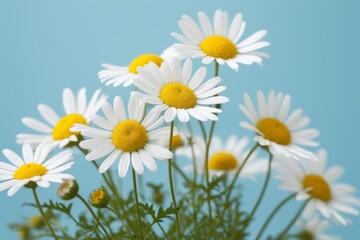 there are many white and yellow flowers in a vase