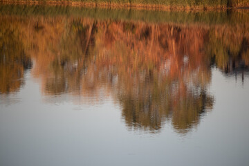 glare and reflections on the water. the sky is reflected in the water. Background of waves,...