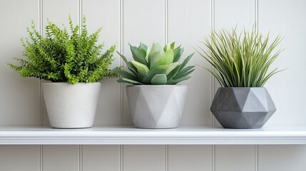 Minimalist white shelf displays modern geometric concrete planters, perfect for home dÃ©cor images. --ar 16:9 --raw --stylize 250 --v 6.1 Job ID: ceb18186-a869-4b1c-bd5e-43a25060714f