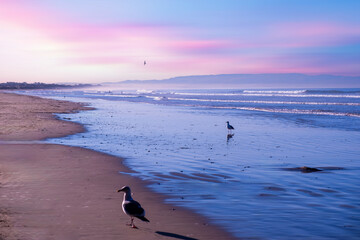 Pismo Beach at Sunrise, California USA