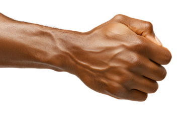 Close-up on a powerful hand: A striking close-up captures the defined veins and muscular structure of a hand, exuding strength and vitality, highlighting the intricate details of human anatomy.