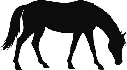 Silhouette of a Grazing Horse - Vector Design for Wildlife, Farm Animals, and Nature Themes