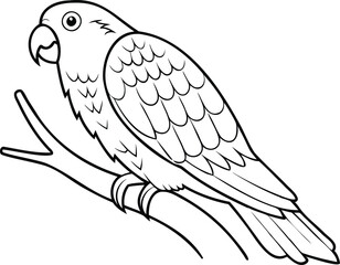 Detailed line art illustration of a parrot perched on a tree branch, ideal for coloring books, educational materials, and wildlife-themed creative projects