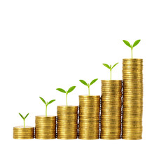 Gold coins placed as a business graph with small plants growing on it isolated on a transparent background 