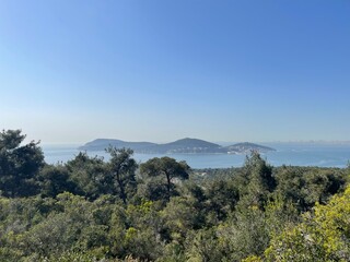 Scenic vista overlooking the ocean from a lush green hill on a bright sunny day with a clear blue sky, perfect for a travel brochure