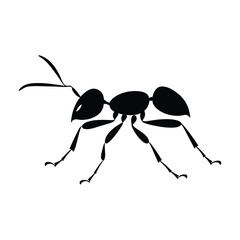 Ant walking black silhouette of simple minimal vector