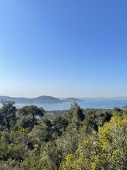 Scenic vista overlooking the sea from a lush green hill on a bright sunny day with a clear blue sky, perfect for a travel brochure