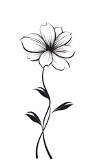 Black flower on white background. Simple black and white elegant minimalist floral linear illustration
