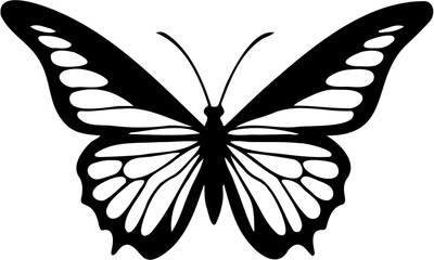 butterfly silhouette with white background