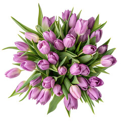 Obraz premium Top Down View of a Big Bouquet of Violet Tulips on a Transparent Background 